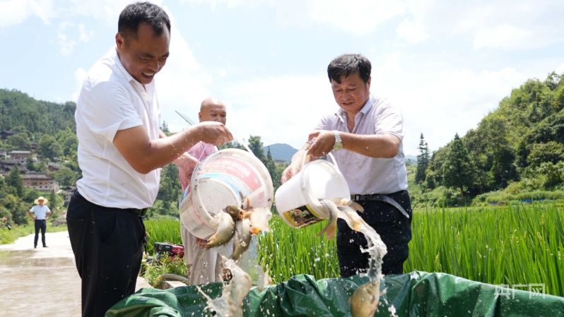 168体育网址“农”味十足的“村BA”为何火出圈(图1)